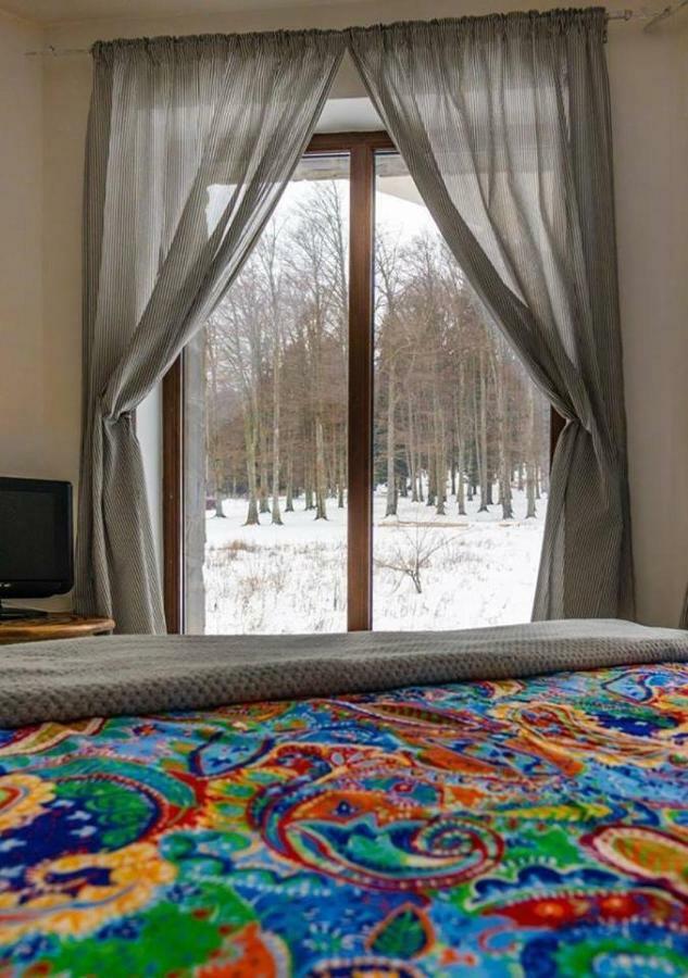 Vila Mama Jana Buşteni Exteriör bild