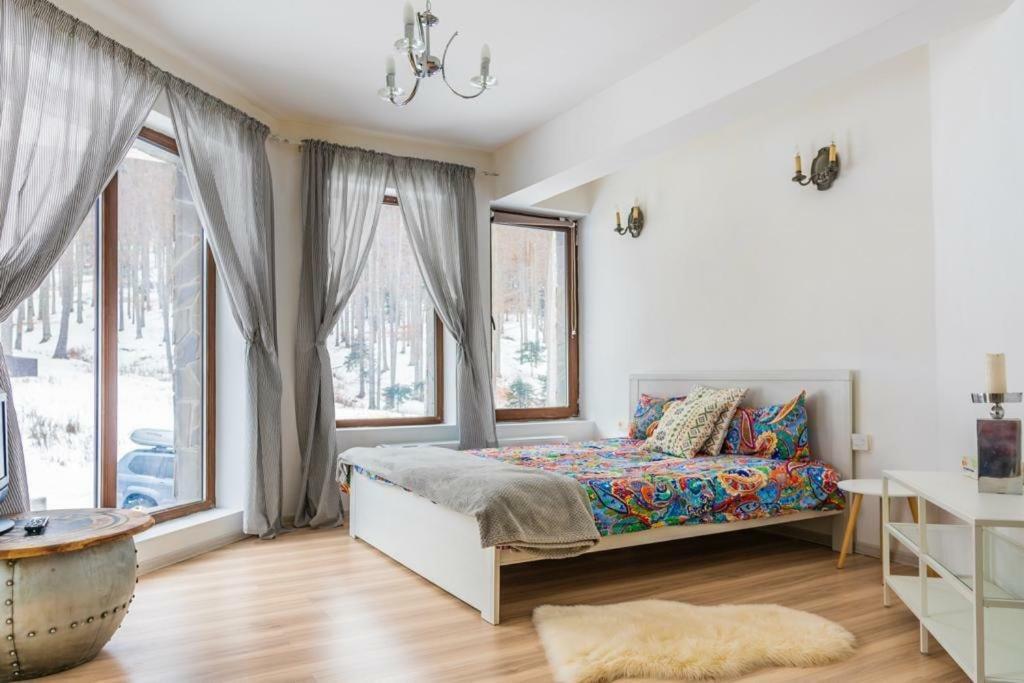 Vila Mama Jana Buşteni Exteriör bild